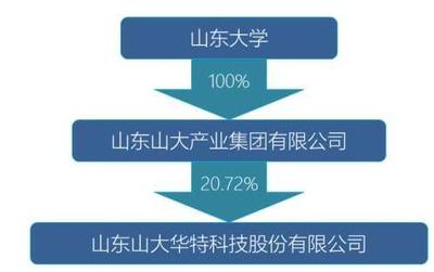 山東國(guó)投擬入主山大華特，軟件技術(shù)服務(wù)板塊迎新局